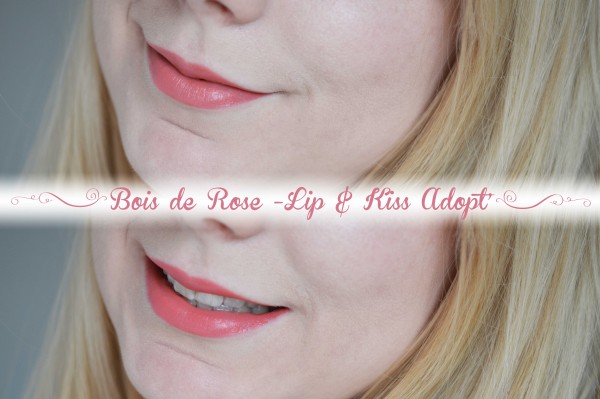 ALITTLEB-BLOG-BEAUTE-TOTAL-LOOK-LIGHT-SMOKY-A-PRIX-MINI-AVEC-ADOPT-LIP-AND-KISS-BOIS-DE-ROSE-04-MAKEUP