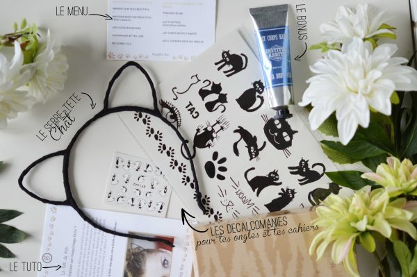 ALITTLEB_BLOG_BEAUTE_BEAUTIFUL_BOX_EDITION_AVRIL_ITS_RAINING_CATS_CONTENU_BOX_INSTITUT_KARITE_DECALCOMANIES