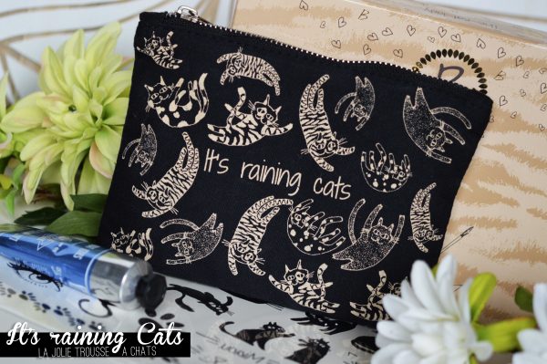 ALITTLEB_BLOG_BEAUTE_BEAUTIFUL_BOX_EDITION_AVRIL_ITS_RAINING_CATS_CONTENU_BOX_TROUSSE
